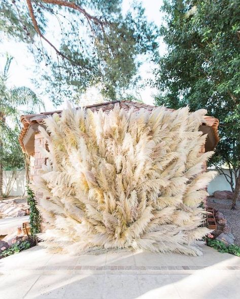 Pampas Grass makes such a statement! Why not choose something different for your backdrop? Pampas Decor, Feathers Wedding, Hipster Wedding, Ceremony Details, Dried Flowers Wedding, Floral Installations, Grass Decor, Pampas Grass Decor, Grass Wedding