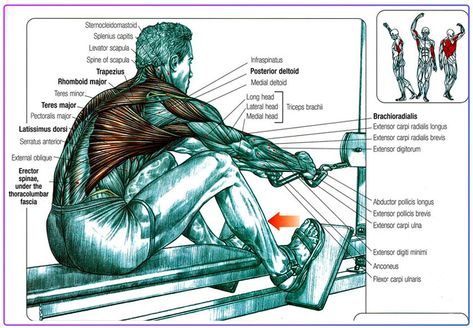 7 Benefits of Rowing Machine Workout: 2023 Workout Guide Abs Machine Workout, Rowing Machine Body Transformation, Rowing Machine Workout Benefits Before And After, Rowing Machine Workout Before And After, Rowing Before And After Pictures, Row Machine Workout, Benefits Of Rowing Machine, Rowing Machine Benefits, Rowing Machine Workout Benefits