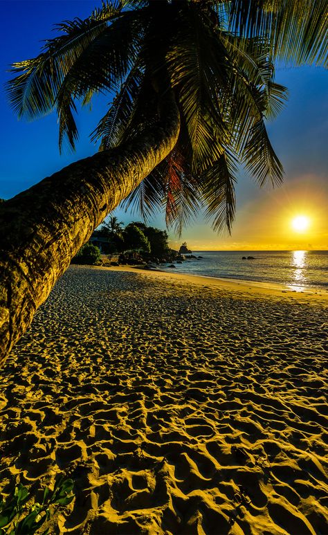 Earth Pictures, Destination Photography, Exotic Places, Best Sunset, Amazing Sunsets, Beautiful Photos Of Nature, Natural Scenery, Sunset Pictures, Island Beach