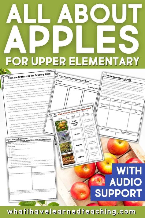 Apple Orchard Lesson Plan, Apple Unit Second Grade, Apple Unit 2nd Grade, Apple Day 2nd Grade, Apple Activities For 3rd Grade, Apple Unit Study 3rd Grade, Lesson Plans For 2nd Grade, Apple Theme Classroom, Apple Lesson Plans