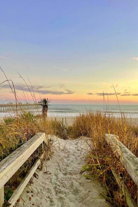 Summer Getaways Guide | Emerald Isle and the Crystal Coast | Emerald Isle Realty Holiday Deals, Beach Wedding Photos, Friend Vacation, Beach House Rental, Atlantic Beach, Vacation Deals, Fishing Charters, Beach Activities, Summer Getaway