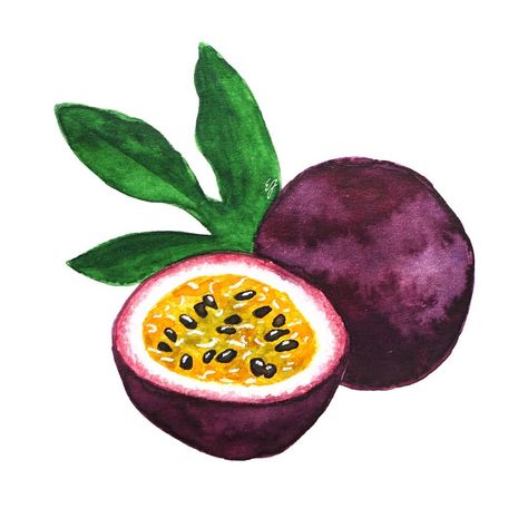 Passion Fruit Illustration, Fruit Art Drawings, Veggie Art, Watercolor Pencil Art, Art Journal Prompts, Fruits Drawing, Watercolor Fruit, Food Painting, Fruit Illustration