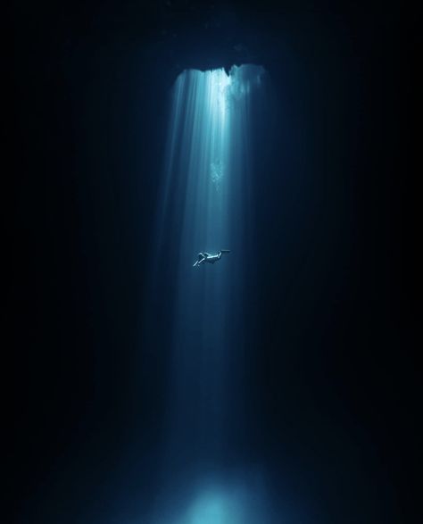 Deep Sea Pictures, Underwater At Night, Our Lives Under The Sea Aesthetic, Aquaphobia Aesthetic, Underwater Looking Up, Thallasophobia Pictures, Thalassophobia Pictures, Man Vs Nature Art, Scary Ocean Pics