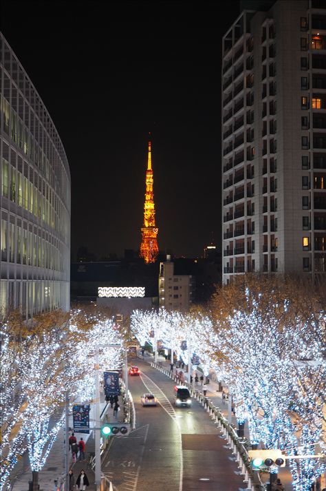 Dear the lovely winter illumination in Tokyo, I’ll see you again. – Roppongi Hills, Tokyo, 2017 Tokyo Winter, Tokyo Midtown, Roppongi Hills, Roppongi, See You Again, Cn Tower, Places Ive Been, See You, Times Square