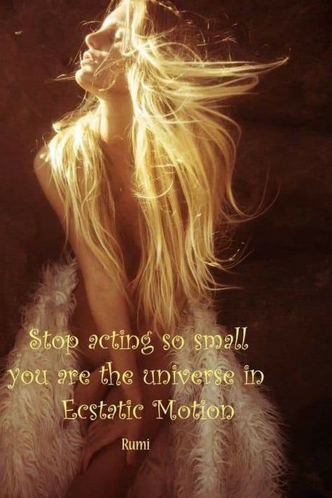 Wild Woman Sisterhood, Warrior Goddess Training, Wild Women Sisterhood, Sufi Mystic, Rumi Love Quotes, Rumi Love, Magic Quotes, Beautiful Angels Pictures, Spiritual Coach