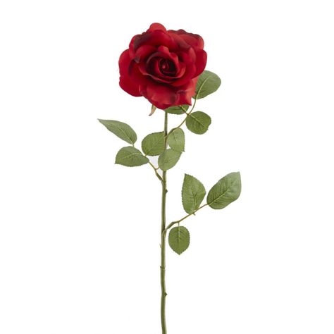 Ashland® Princess Rose Silver Dollar Plant, Red Princess, Open Flower, Open Rose, Enchanted Rose, Rose Stem, Single Rose, Artificial Roses, Beautiful Wreath