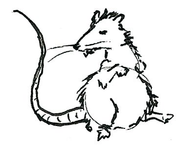 Angry Rat Rat Scary Drawing, Rat Side Profile, Rat Terrier Drawing, Rat On A Skateboard, Rat Tattoo Simple, Rat Draw, Rat Doodle, Rat Sketch, Rat Shirt