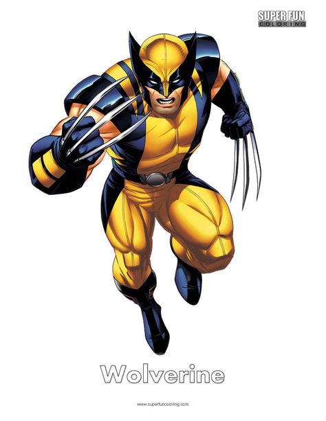 Wolverine Cartoon, Wolverine Character, Wolverine Artwork, James Howlett, Wolverine Logan, Chibi Marvel, Old Man Logan, Marvel Wolverine, Superhero Coloring Pages