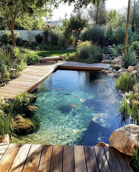 Tiny Natural Pool, Natural Swimming Ponds, Garden Pond Design, Swimming Pond, Natural Pond, Natural Swimming Pools, Dream Life House, Natural Swimming Pool, Pond Design