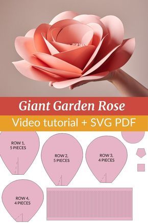 Paper Flower Photo Backdrop, How To Make Flowers Out Of Paper, Diy Large Paper Flowers, Large Paper Flowers Diy, Big Paper Flowers, Giant Flowers Diy, Giant Paper Flowers Template, Flower Petal Template, Giant Paper Flower