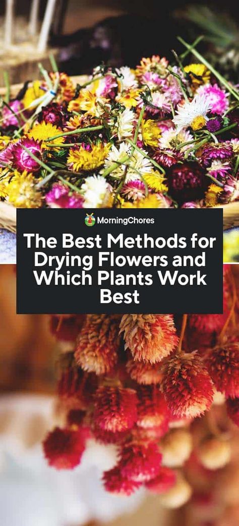 Best Flowers To Dry Out, Flowers For Drying Best, Best Flowers To Grow For Drying, Best Flowers For Drying, Best Flowers To Dry, Flowers For Drying, Herb Crafts, Boho Wreaths, Herbal Crafts