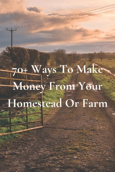 70+ Ways To Make Money From Your Homestead Or Farm Starting A Farm, Farm Plans, Homestead Farm, Farm Layout, Farm Business, Farm Lifestyle, Future Farms, Homesteading Skills, Mini Farm