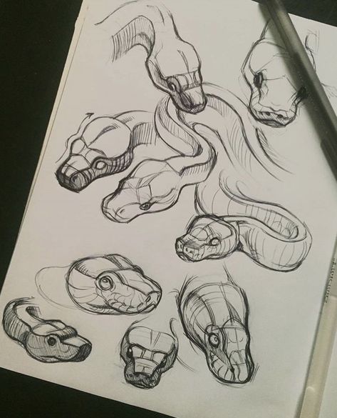 Schlangen Vorlage Viper Snake Drawing, Animal Art Drawing Sketches, Viper Drawing, Cool Things To Sketch, Stuff To Sketch, Cool Stuff To Draw, Snake Drawings, Unique Sketches, Fantasy Sketches