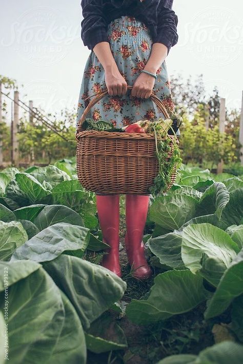 Woman Holding Basket, Garden Photography, Pretty Stuff, Organic Vegetables, Farm Girl, Farm Gardens, 가을 패션, Kitchen Garden, Photography Women