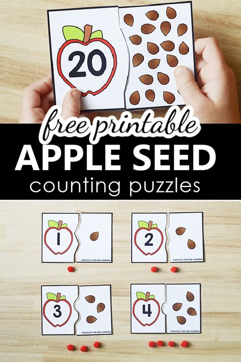 Free Printable 1-20 Apple Seed Counting Puzzles Math Center for Preschool PreK and Kindergarten Apple Math Preschool, Apple Seed Counting, Apple Activities Kindergarten, Apple Math Centers, Math Apple Activities, Apple Theme Activities, Preschool Apple Activities, Fall Math Centers, Preschool Apple Theme