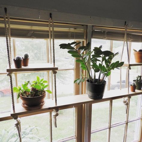 Indoor Herb Garden Window, Herb Garden Window, Plant Shelf Indoor, Hanging Plant Shelf, Window Herb Garden, Window Plant Shelf, Succulent Display, Pine Shelves, Diy Hanging Shelves