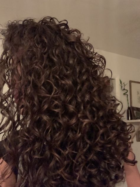 Long Curly Hair Brunette, Naturally Curly Brunette Hair, Perfect Curls Natural, Brunette Curly Hair Aesthetic, Vision Board Curly Hair, Curly Hair Vision Board, Curly Haircare Aesthetic, Long 3a Curly Hair, Chocolate Brown Hair Curly