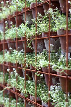 Reo mesh Herb Wall, Vertical Vegetable Garden, Vertical Herb Garden, Vertical Garden Diy, Walled Garden, Have Inspiration, Wall Garden, Veggie Garden, The Design Files