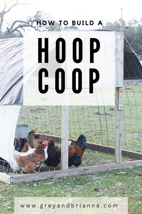 homemade diy chicken coop Chicken Pasture Ideas, Hoop Chicken Coop, Easy Diy Chicken Coop Plans, Chicken House Diy, Simple Chicken Coop Plans, Turkey Coop, Hoop Coop, Chicken Coop Designs Diy, Easy Diy Chicken Coop