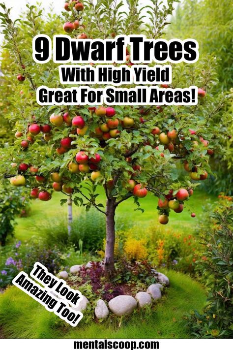 Woodland Food, Garden Woodland, Growing Fruit Trees, Farm Ideas, Have Inspiration, Food Forest, Backyard Farming, Home Vegetable Garden, Garden Yard Ideas