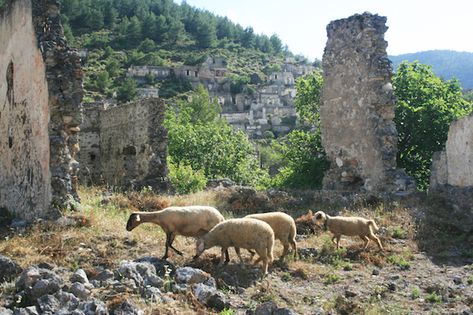 Greek Ruins, Village Aesthetic, Hillside Village, Greek Village, Greek Town, Natural Palette, Greek Culture, Beautiful Flower Arrangements, Village Life