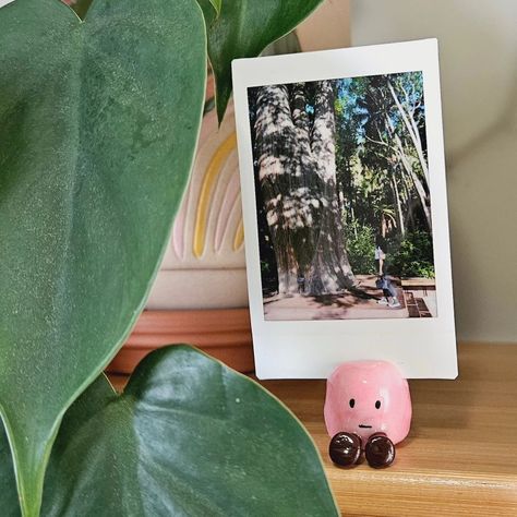 Pink polymer clay marshmallow polaroid photo holder 🥰 DM to order if you live in Australia. #polymerclay #polaroid #polaroidphotoholder #clayart #cute #marshmallows #craft Poloroid Pictures Holder Clay, Clay Polaroid Stand, Polymer Clay Polaroid Holder, Ceramic Polaroid Holder, Polymer Clay Photo Holder, Clay Photo Stand, Air Dry Clay Photo Holder, Clay Polaroid Holder, Clay Picture Holder