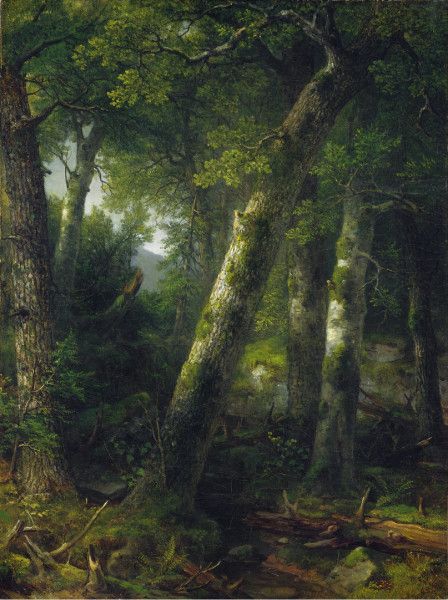 Painting Forest, Hudson River School, Forest Painting, National Gallery Of Art, A4 Poster, Tree Drawing, National Gallery, Modern Artists, Landscape Artist