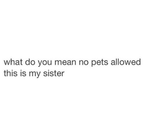 Image via We Heart It #funny #lol #pets #quote #sister Funny Quotes For Sister, Captions For Sisters Funny, Funny Insta Quotes, Quotes Aesthetic For Sisters, Sister Funny Captions For Instagram, Funny Bio Quotes Instagram, Quotes For Sisters Funny, Sister Funny Captions, One Line Funny Quotes