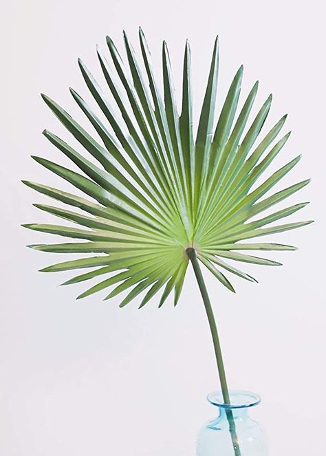 Fan Palm Leaf, Tropical Wedding Centerpieces, Artificial Palm Leaves, Orchid Leaves, Silk Orchids, Fan Palm, Artificial Plants Outdoor, Artificial Orchids, Palm Plant