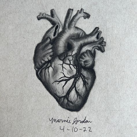 Human Heart Pencil Drawing, Tone Drawing Pencil, Heart Charcoal Drawing, Toned Gray Paper Drawings, Graphite Drawings Ideas, Simple Charcoal Drawing, Heart Pencil Drawing, Charcoal Pencil Art, Graphite Pencil Drawings