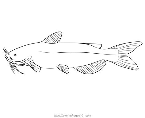 Channel Catfish Coloring Page Catfish Coloring Page, Catfish Clipart, Catfish Cartoon, Catfish Painting, Catfish Drawing, Catfish Tattoo, History Scrapbook, Aquatic Design, Fish Outline