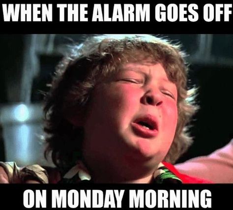 Monday Morning Meme, Funny Monday Memes, Monday Morning Quotes, Monday (quotes), I Hate Mondays, Morning Memes, Monday Memes, Monday Humor, 9gag Funny