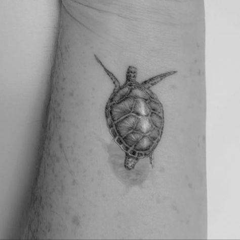 Sea Turtle Shadow Tattoo, Turtle With Shadow Tattoo, Turtle Shadow Tattoo, Turtle Swimming Tattoo, Tattoo With Shadow, Tattoo Turtle, Swimming Tattoo, Healed Tattoo, Shadow Tattoo