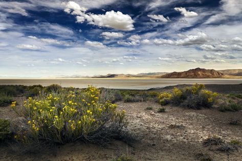 12 incredible places to hit on your Northern Nevada road trip Northern Nevada, Great Basin National Park, Black Rock Desert, Crystal Bay, Backcountry Skiing, Lake Mead, The Vegas, Terrain Map, High Mountain