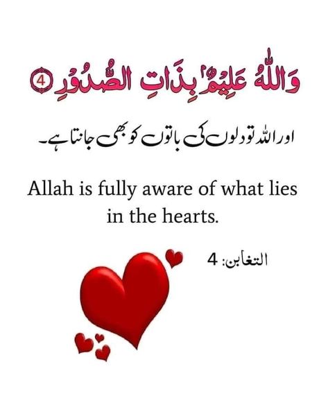 #allah #allahswt #islam #islamicreminders #quran #quranverses #verseoftheday #verse #muslimjournal #surah #quranic #quranicverses #islamicposts #muslimreminder #islamicworld Ayat With Translation, Good Morning Spiritual Quotes, Islamic Quotes On Marriage, Learn Facts, Luck Quotes, Muslim Love Quotes, Good Luck Quotes, Allah Love, Learn Quran