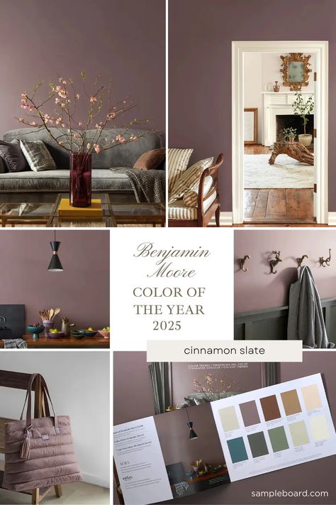 Discover Cinnamon Slate: Benjamin Moore's Versatile Neutral Hue Grey Walls Color Scheme, Standing Ovation Behr Paint, Driftscape Tan By Benjamin Moore, Benjamin Moore 2025 Color Trends, Cozy Wall Paint Colors, Neutral Color Drenching, Cinnamon Slate Bedroom Ideas, Porcelain Benjamin Moore, Bracken Slate Benjamin Moore