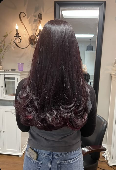 Wine Brunette Hair, Black Hair That Looks Red In The Sun, Black Redish Hair Dark Brown, Dark Red Hair Almost Black, Blue Tinted Brown Hair, Black With Red Undertone Hair, Really Dark Red Hair Almost Black, Black With Red Tint Hair, Chocolate Red Hair Color Burgundy