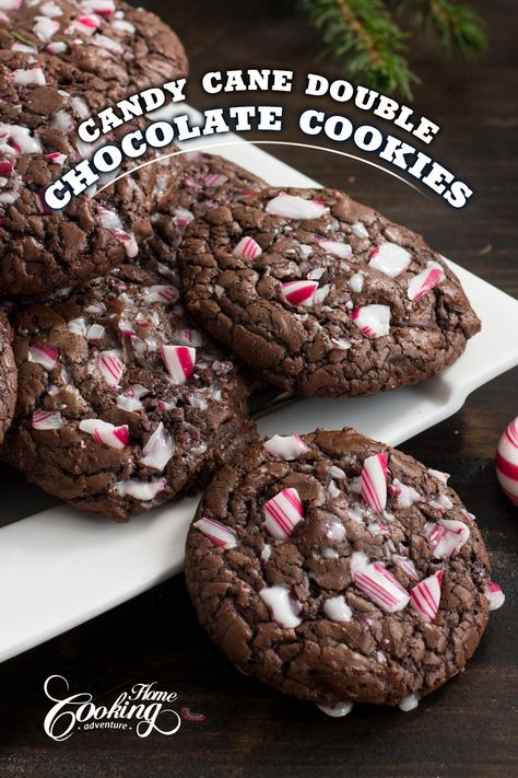 Candy Cane Double Chocolate Cookies are some of the best cookies you can prepare for winter holiday season. Adding crunchy crushed candy canes on top not only bring extra flavor and texture but they also add a festive look and beautiful touch of holiday colors. Double Chocolate Candy Cane Cookies, Candy Cane Butter Cookies, Candy Cane Crunch Cookies, Candy Cane Baking Ideas, Candy Cane Brownie Cookies, Chocolate Cookies With Candy Cane Pieces, Candy Cane Chocolate Cookies, Dark Chocolate Candy Cane Cookies, Chocolate Chip Candy Cane Cookies