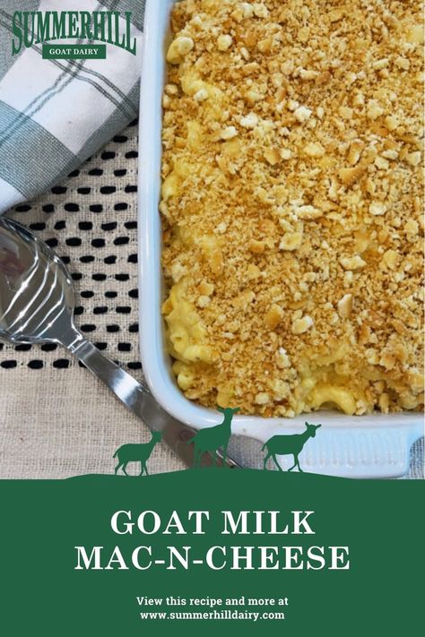 Summerhill Goat Milk Mac n Cheese -In need of some comfort food? Try this delicious, gooey mac and cheese. It will warm you from the inside out. Made from Summerhill's Certified Humane Goat's Milk. Gooey Mac And Cheese, Milk Pudding Recipe, Goat Herder, Goat Milk Recipes, Df Recipes, Dairy Goats, Milk And Cheese, Allergy Free Recipes, Vegetarian Recipe