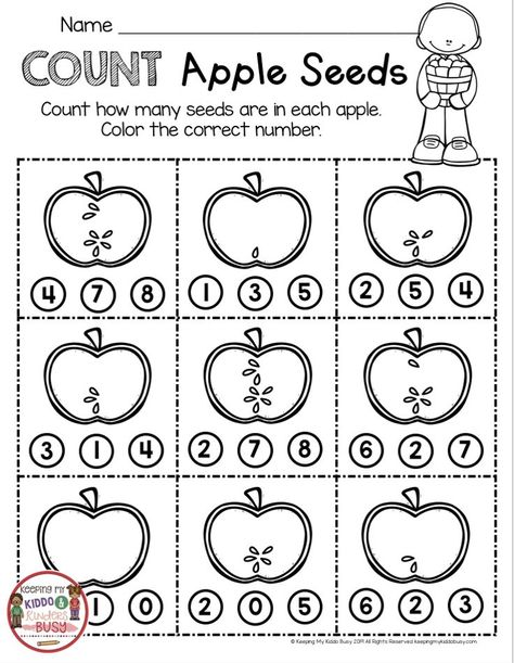 COUNTING APPLES - kindergarten and first grade math worksheet - counting apple seeds - all about apples - first week of kindergarten - apple printables and worksheets #kindergarten #kindergartenmath #apples Small Group Apple Activities, Apples Math Activities Preschool, Apple Seed Counting Preschool, Counting Apples Free Printable, Apple Curriculum Kindergarten, Apples In Kindergarten, Apple Week In Kindergarten, Apple Investigation Free Printable, Apple Writing Kindergarten