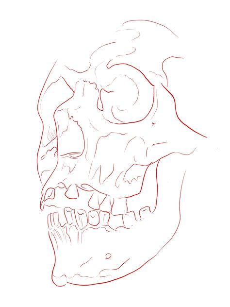 Sewed Mouth Drawing, Skull Stencil Tattoo, Skull Tattoo Outline, Skull Tattoo Stencil, Skull Tattoo Sketch, Horror Reference, Skull Drawing Tattoo, Salmon Drawing, Skull Outline