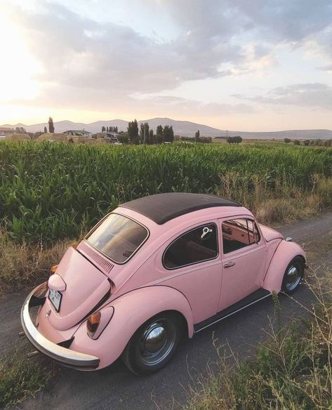 Pink Volkswagen Beetle, Pink Beetle, Pink Cars, Hippie Car, Sonic Oc, Beetle Car, Vw Bugs, Girly Car, Feminine Tattoo