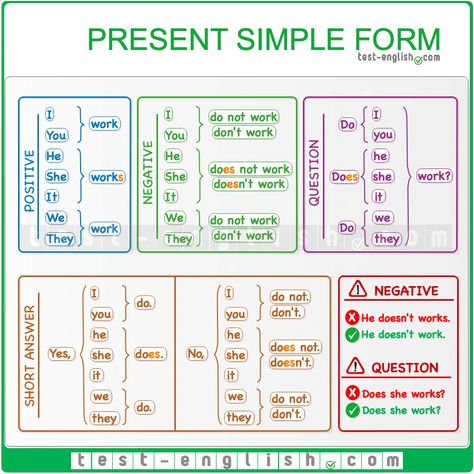 Easy English Grammar, Grammar Chart, English Grammar Tenses, English Grammar Exercises, Simple Present Tense, Grammar For Kids, Simple Present, English Exam, Teaching English Grammar