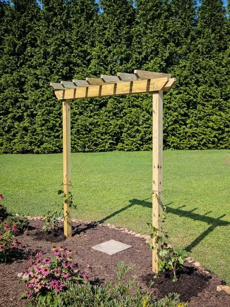 Grapevine Arbor, Arbor Diy, Grape Vine Trellis, Diy Arbour, Grape Trellis, Grape Arbor, Vine Trellis, Arbors Trellis, Diy Garden Trellis