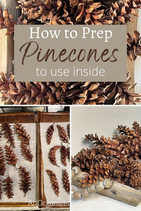 Pinecones on baking sheets and pinecones in a wood tray. How To Preserve Pinecones, How To Dry Pinecones, How To Dry Pinecones In Oven, Drying Pinecones In Oven, Decorate With Pinecones, How To Open Pinecones, Diy Fall Decor With Pinecones, Baking Pinecones How Long To, Fall Pine Cone Crafts