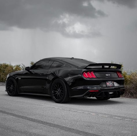 Commitment 💯 2023 Mustang Gt, Blacked Out Mustang Gt, Mustang S550 Gt, All Black Mustang Gt, Ford Mustang Gt Black, Mustang Gt Black, Black Ford Mustang, Fort Mustang, Black Mustang Gt