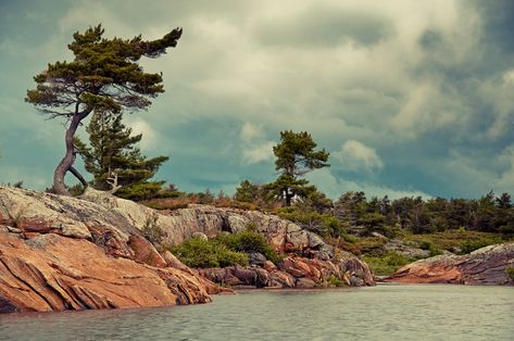 Southwest Photography, Stone Landscaping, Northern Ontario, Georgian Bay, Bay Photo, Watercolor Tree, Tree Images, Breathtaking Places, Canadian Art