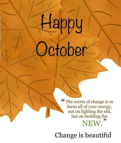 Happy New Month October Quotes, Happy New Month October, New Month October, New Month Quotes, October Quotes, Month Quotes, Its My Birthday Month, Month October, Happy New Month