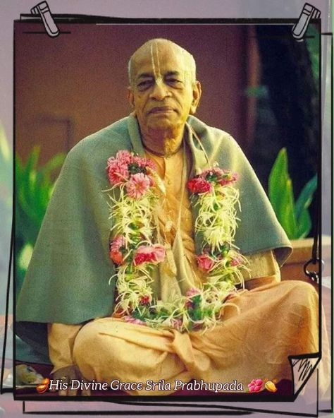 Prabhupada Quotes, Swami Prabhupada, Hare Krishna Mantra, Krishna Mantra, Buddhist Philosophy, Srila Prabhupada, Sri Krishna, Divine Grace, Divine Mother