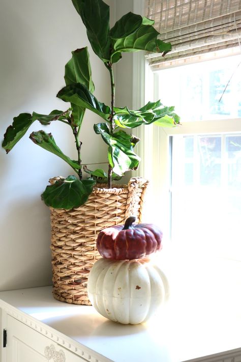 Fireplace Styling Tips for Fall Plants On Fireplace, Plants On Fireplace Mantle, Fireplace Styling, Nesting With Grace, Fall Fireplace, Floral Arranging, Fireplace Mantle, Styling Tips, Fireplace